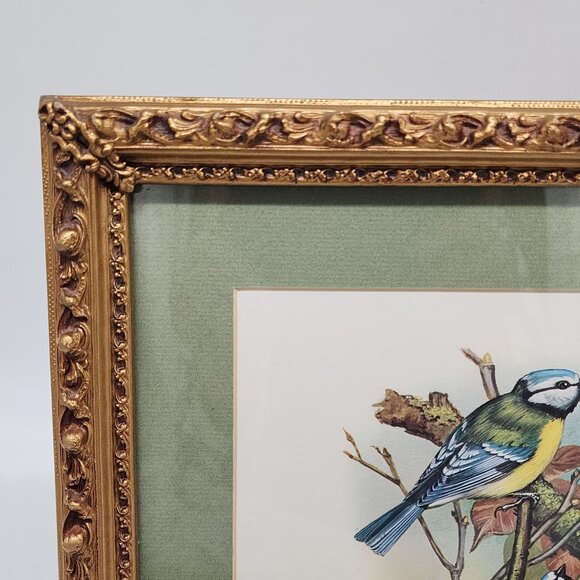 Vintage Framed Bird Illustration by Vortigern Gold Wooden Ornate Frame 13x10" - Picture 3 of 11